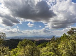 Final de tardor amb temperatures més suaus de l’habitual