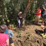 «De l’arbre al tap, del tap a taula»