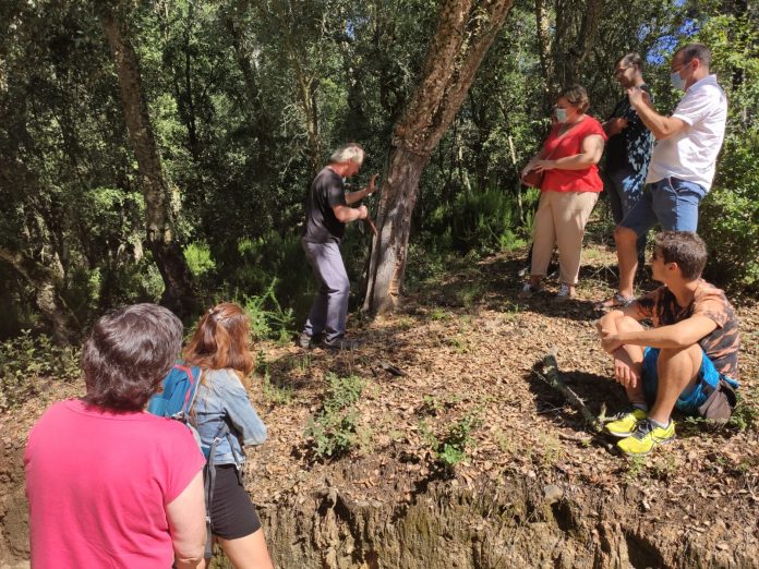 «De l’arbre al tap, del tap a taula»