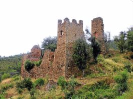 Castells Medievals