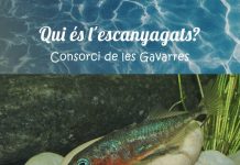 Qui és l'escanyagats?