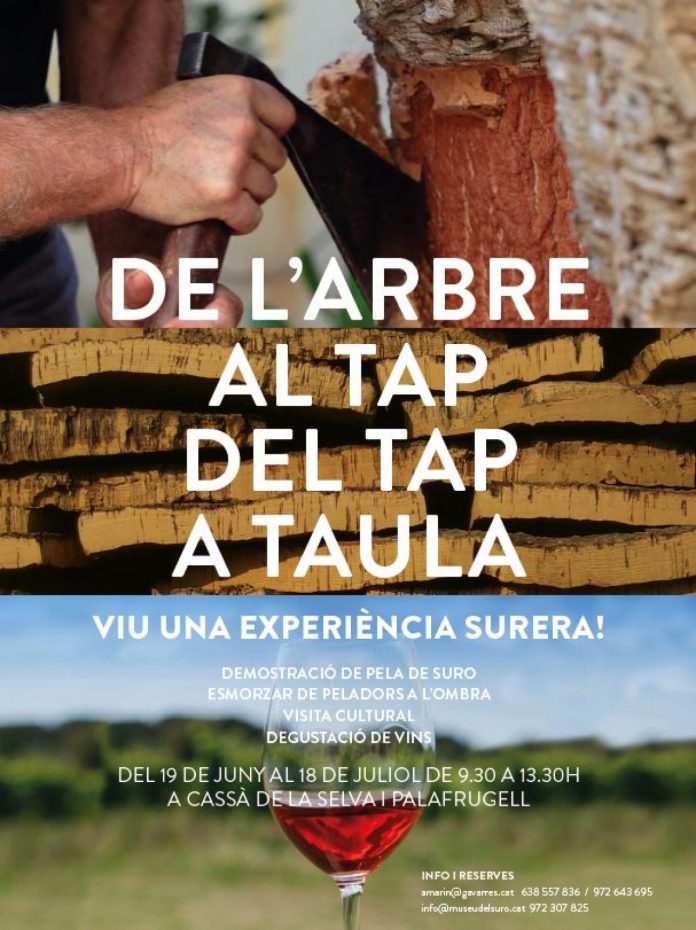De l'arbre al tap del tap a la taula