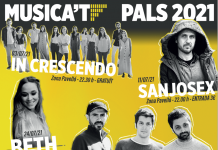 Cartell Musica't Pals 2021