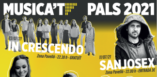 Cartell Musica't Pals 2021