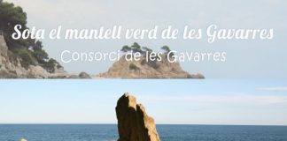 Sota el mantell verd de les Gavarres