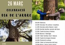 dia de l'arbre gavarres