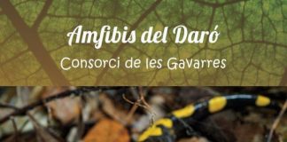 Amfibis del Daró