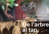 De l'arbre al tap, del tap a taula