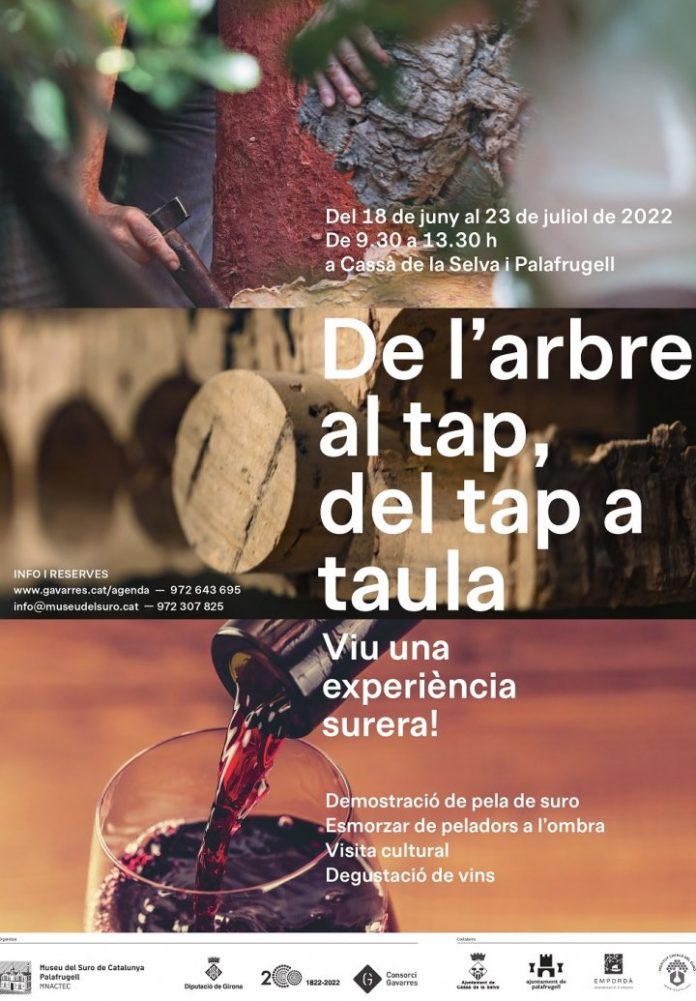 De l'arbre al tap, del tap a taula