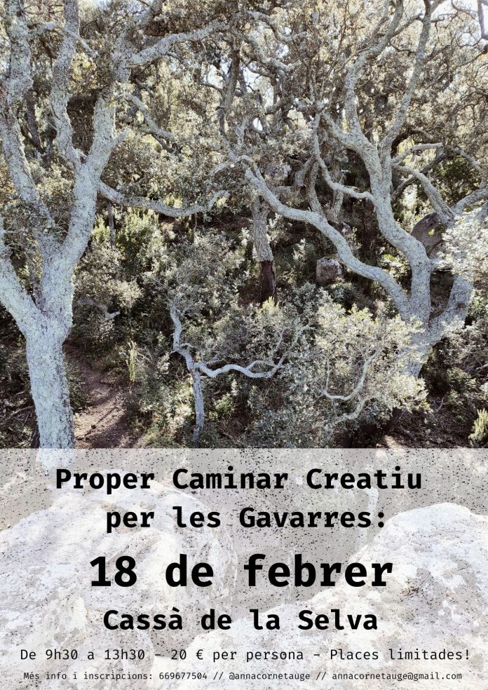 Caminar Creatiu per les Gavarres