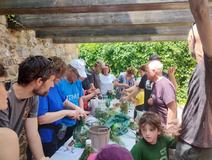 taller ratafia Sant Sadurní de l’Heura