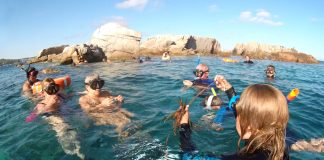 fons de les illes Formigues