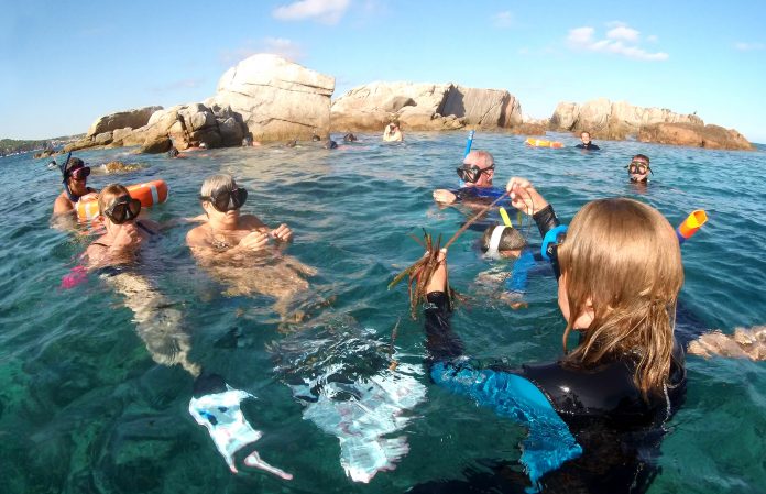 fons de les illes Formigues