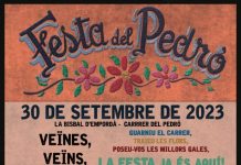 Festa del carrer del Pedró de la Bisbal