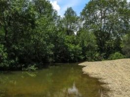 RUTA DES DE SANT SADURNÍ DE L’HEURA FINS AL MOLÍ D’EN FRIGOLA