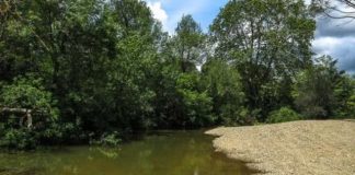 RUTA DES DE SANT SADURNÍ DE L’HEURA FINS AL MOLÍ D’EN FRIGOLA