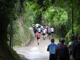 Cursa de Muntanya de les Gavarres(La Llebre)