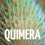 Banner_Gavarres_300x250_XXIII_JOVES_FOTOGRAFS_25