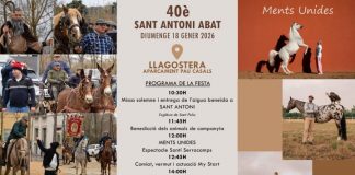 sant antoni abat llagostera
