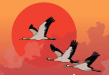 L’Espai Arteca de Palafrugell inaugura l’exposició “A trenc d’ales”, una proposta de poesia i il·lustració sobre ocells