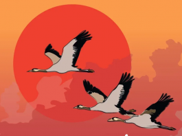 L’Espai Arteca de Palafrugell inaugura l’exposició “A trenc d’ales”, una proposta de poesia i il·lustració sobre ocells