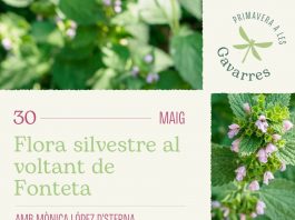 Flora silvestre al voltant de Fonteta