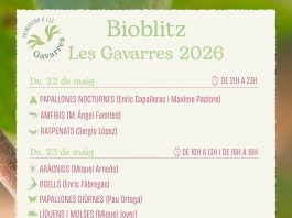 Bioblitz per descobrir la biodiversitat del massís de les Gavarres Bioblitz Les Gavarres 2026
