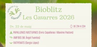 Bioblitz per descobrir la biodiversitat del massís de les Gavarres Bioblitz Les Gavarres 2026