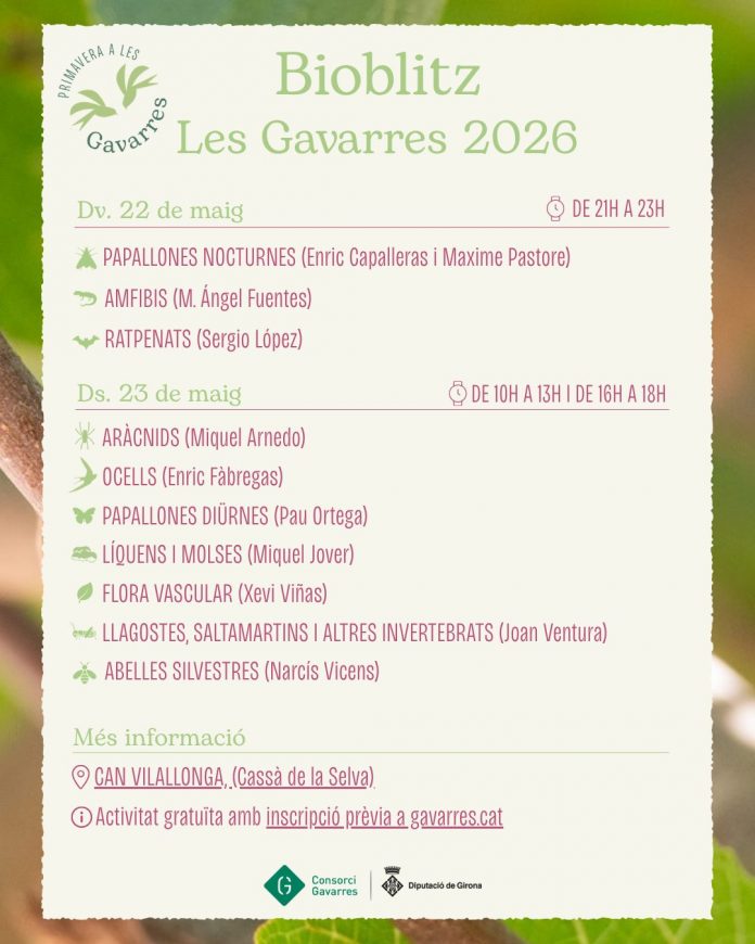 Bioblitz Les Gavarres 2026 Bioblitz Les Gavarres 2026