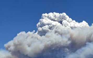 L’incendi de la Bisbal d’Empordà ha entrat a la zona de les Gavarres i ha obligat a confinar diversos municipis i a desallotjar una urbanització.