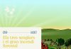 Llambilles acull una activitat familiar per descobrir com el bosc mediterrani conviu amb els incendis gavarres llambilles