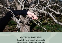 art i gavarres