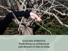 art i gavarres