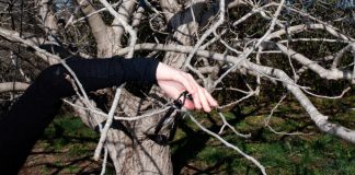 Gatzara forestal a les Gavarres art i gavarres