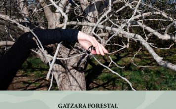 Gatzara forestal a les Gavarres art i gavarres