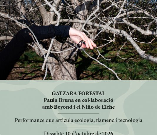Gatzara forestal a les Gavarres art i gavarres