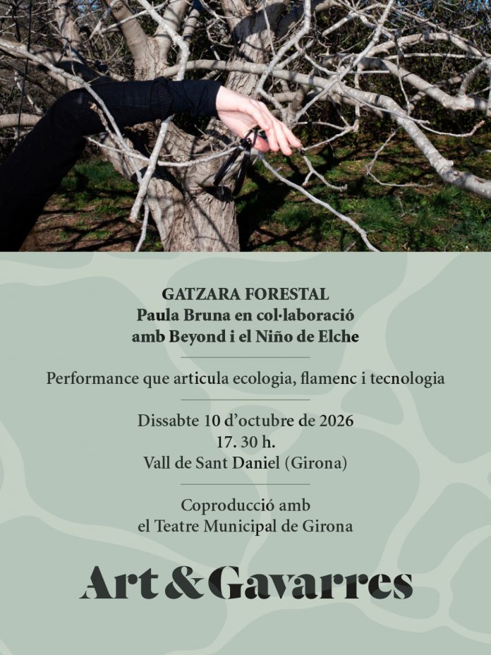 art i gavarres art i gavarres